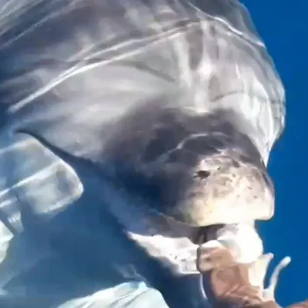 Θέρετρο Casagliana Όλμπια