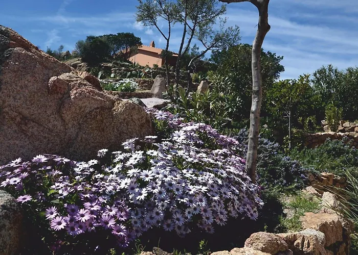 Casagliana Semesteranläggning (resort) Olbia